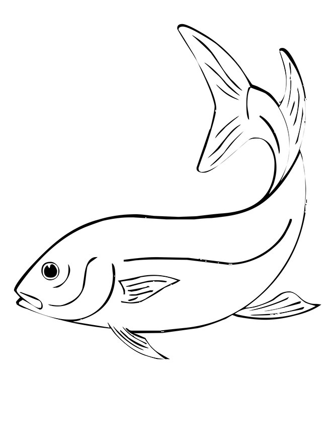 650x841 Fish Template Free Printable, Pdf Documents Download! Free