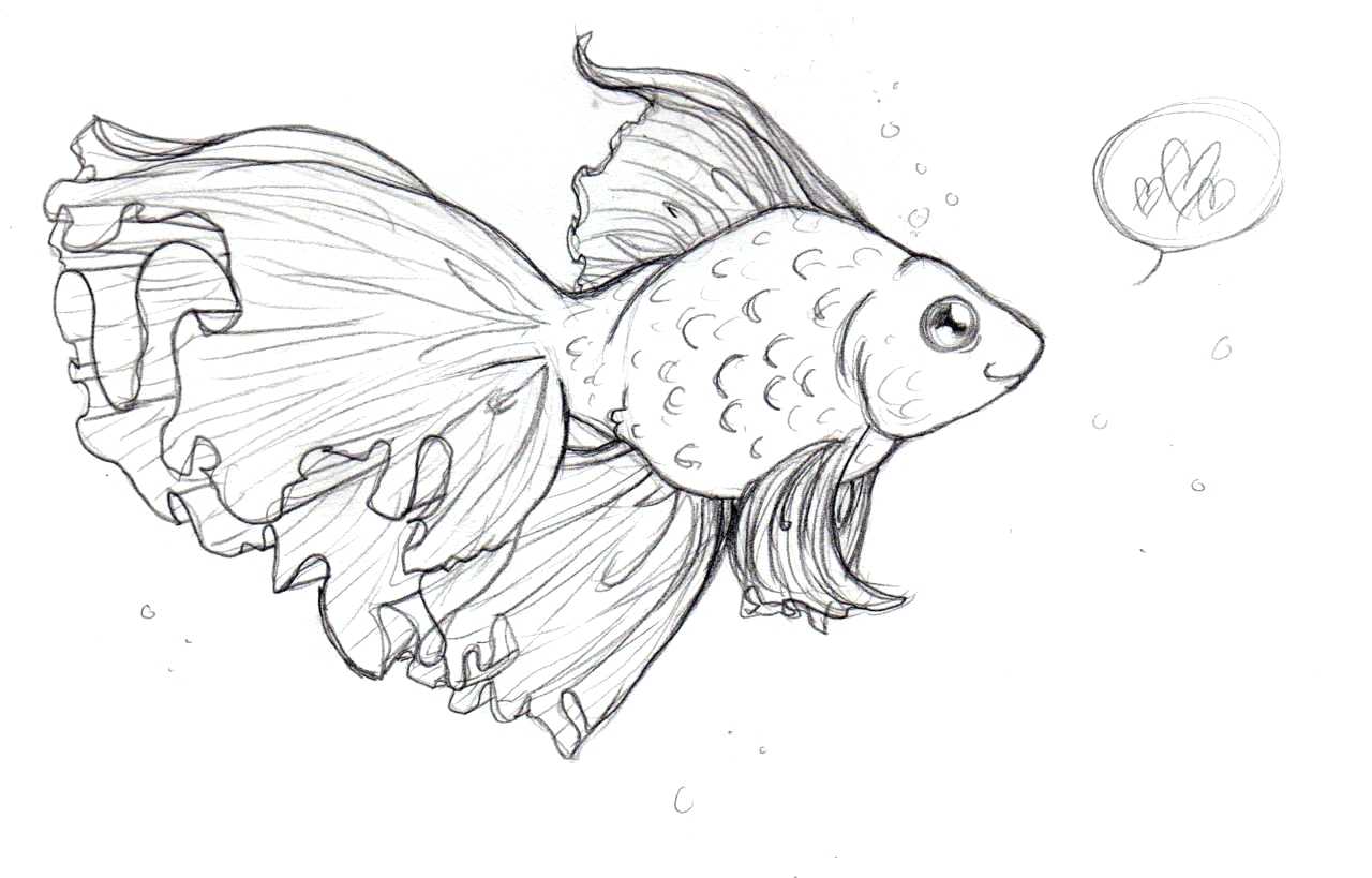 1280x819 Template Goldfish Template Drawings Related Keywords Suggestions