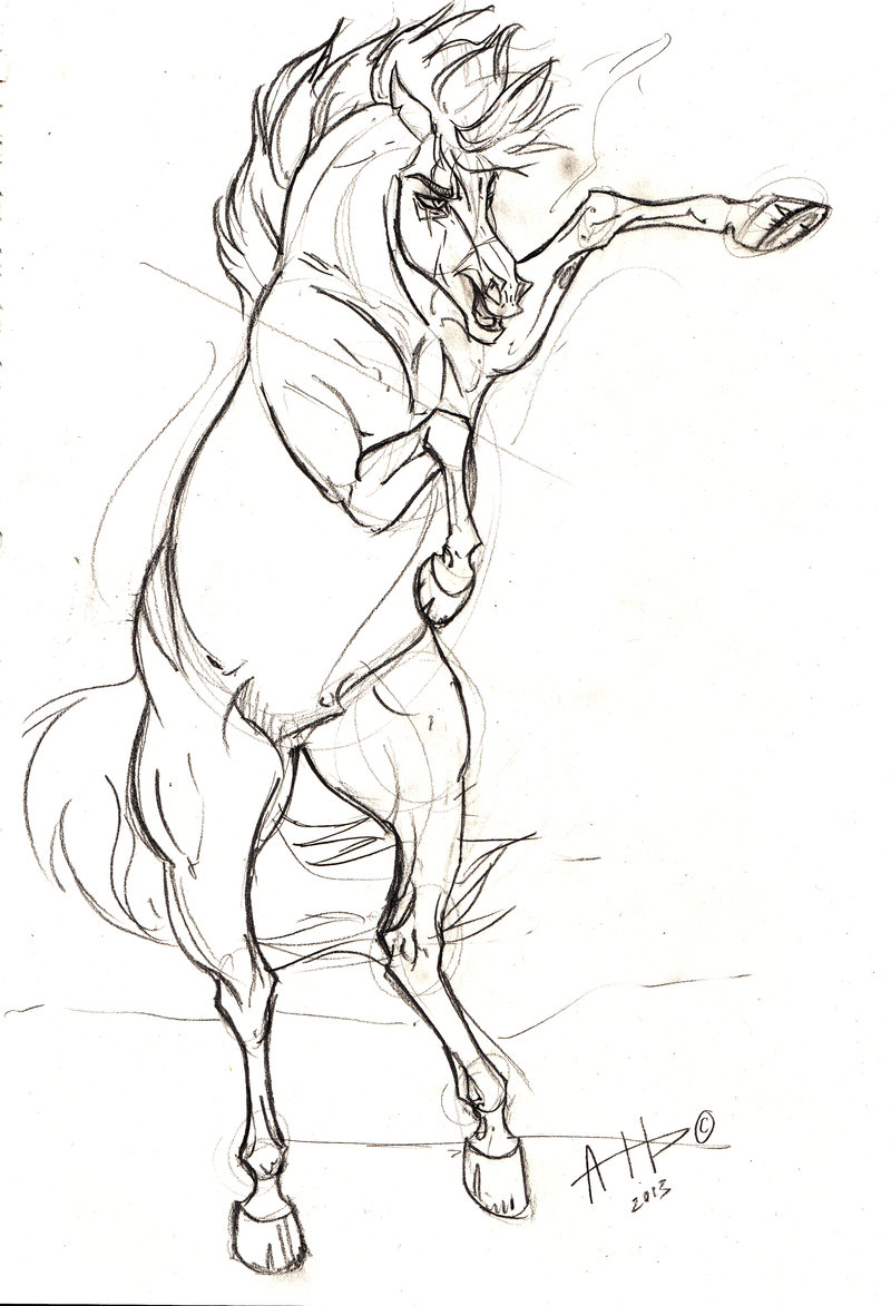 800x1173 Dynamic Lauri