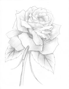 236x305 Image Result For Chucky And Tiffany Drawings Eye Draw