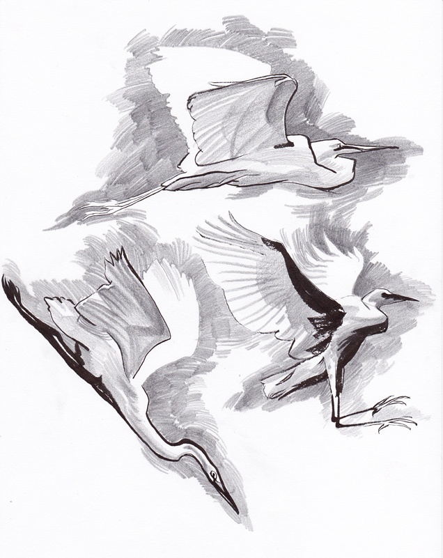 636x801 Tiffany Prothero Life Drawing