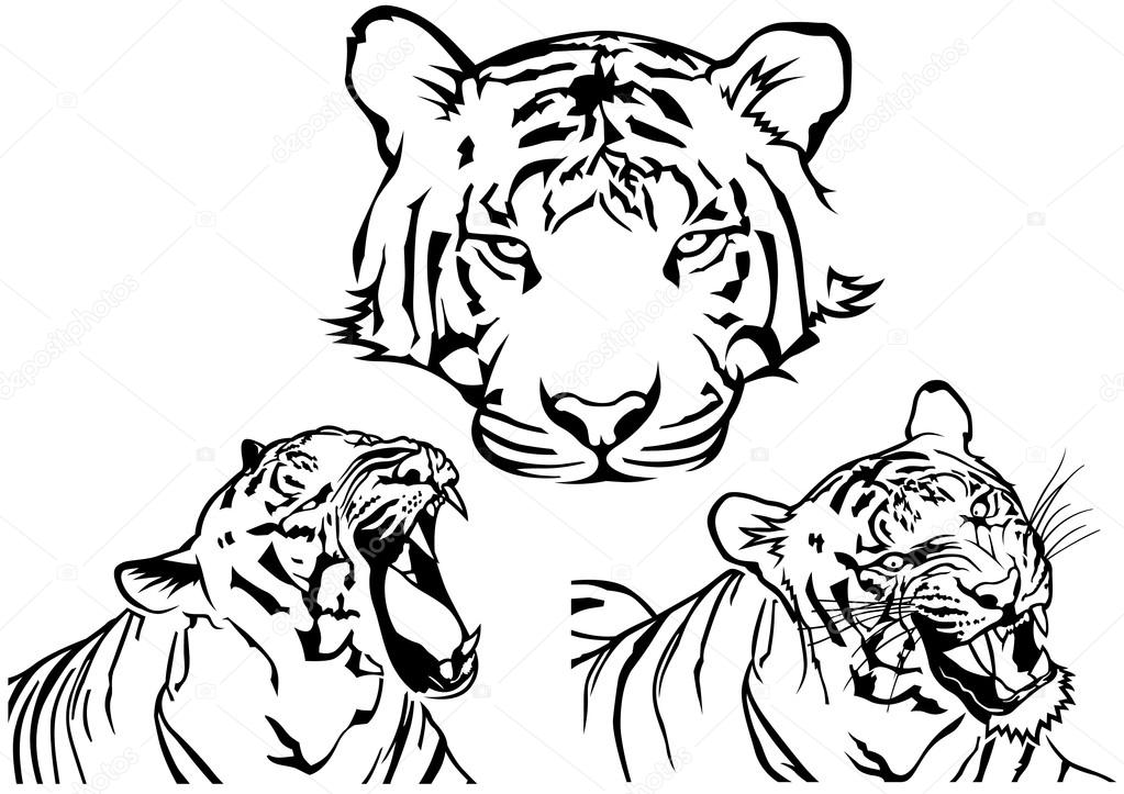 1023x723 Tiger Tattoo Drawings Stock Vector Dero2010