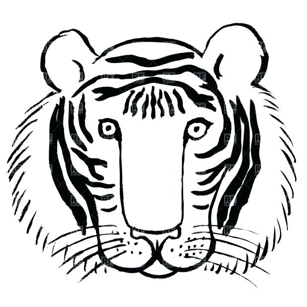 618x618 White Tiger Coloring Pages Cute Coloring Pages How To Draw A Baby