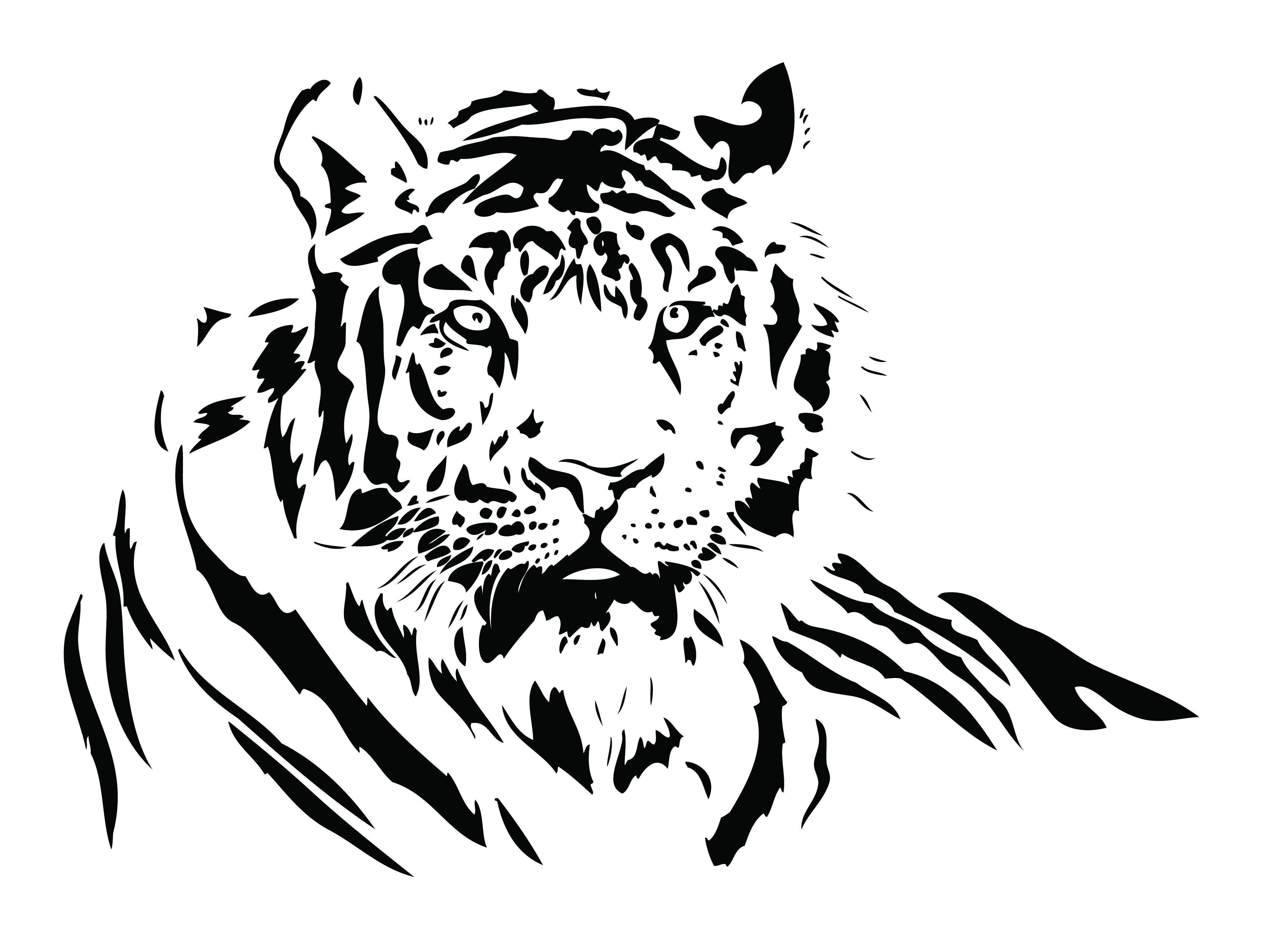4397x3280 Free Vector Both Black And White Tiger Vector Drawing