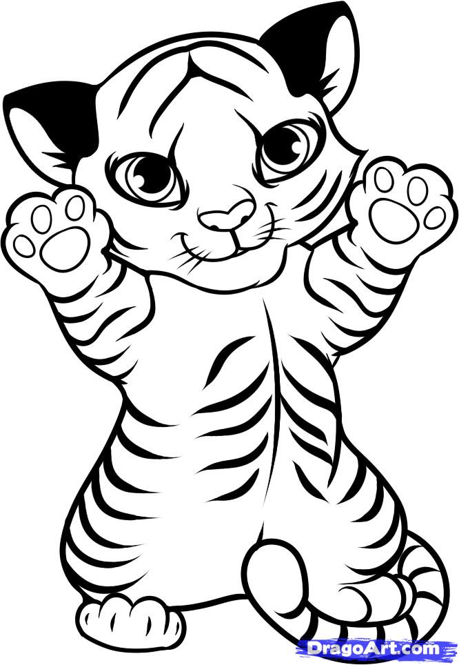666x964 How To Draw A Tiger Cub