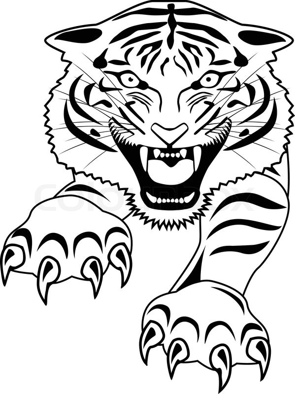 599x800 Tiger Tattoo Stock Vector Colourbox