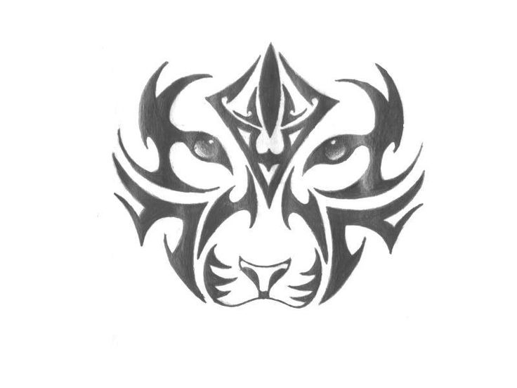 736x552 How To Draw A Tiger Paw Collection