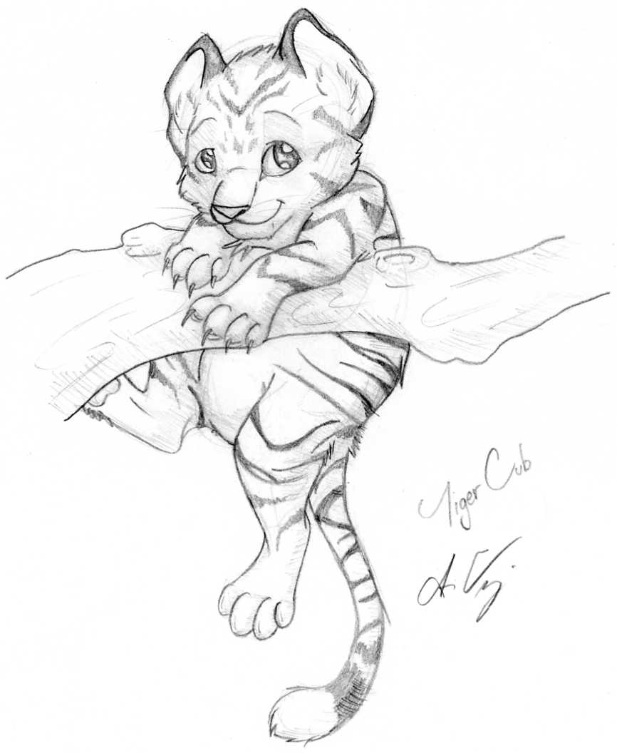 866x1056 Tiger Cub By Naoki Wolf