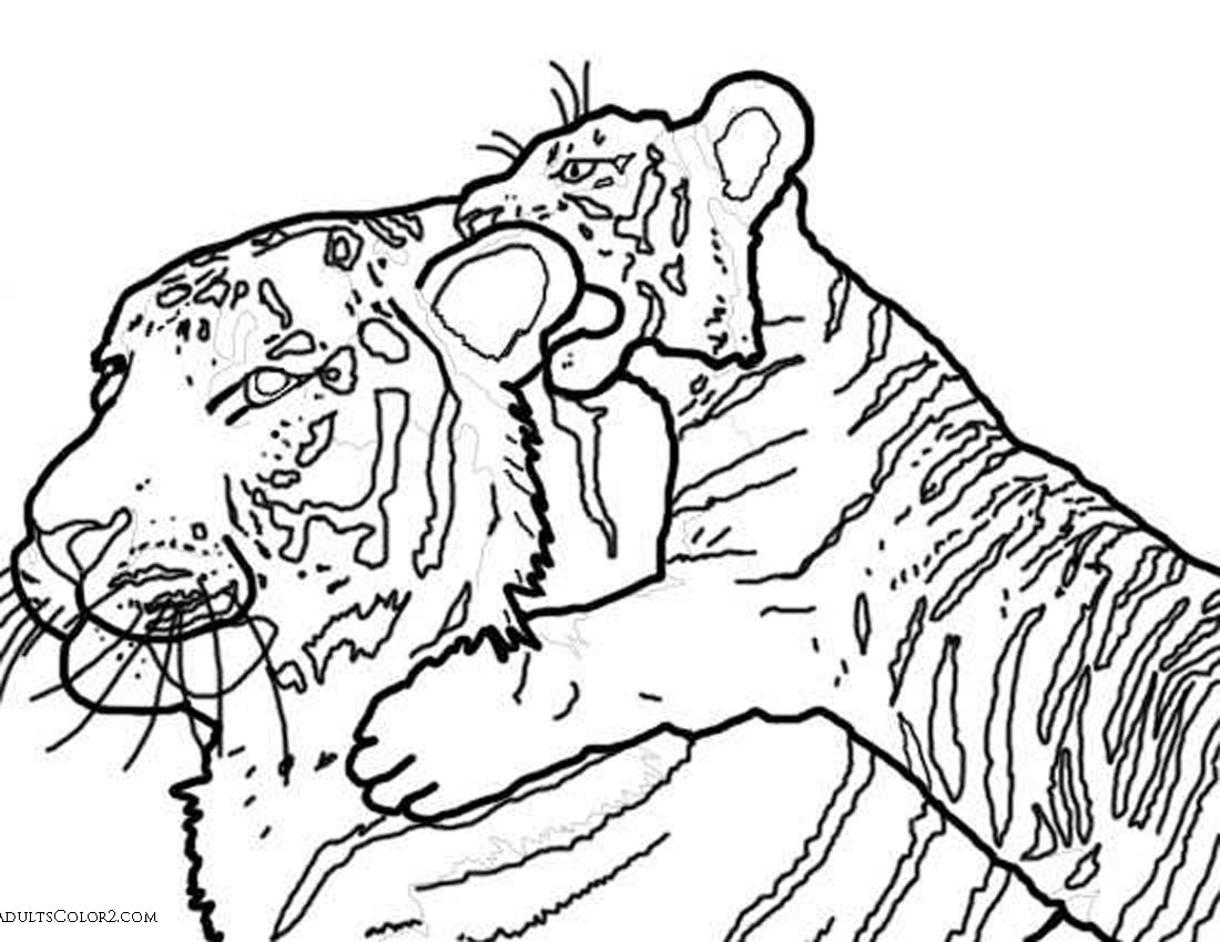 1100x850 Tiger Cubs Coloring Pages
