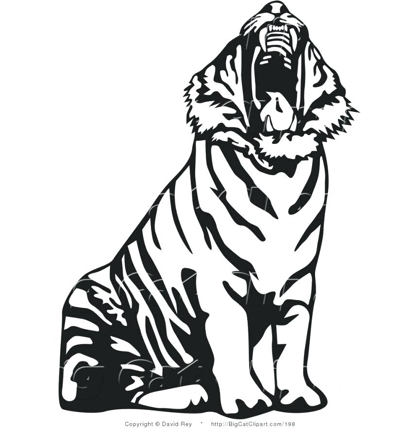 863x880 Cute Tiger Coloring Pages