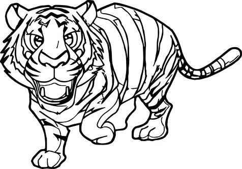 Tiger Cub Drawing at GetDrawings | Free download