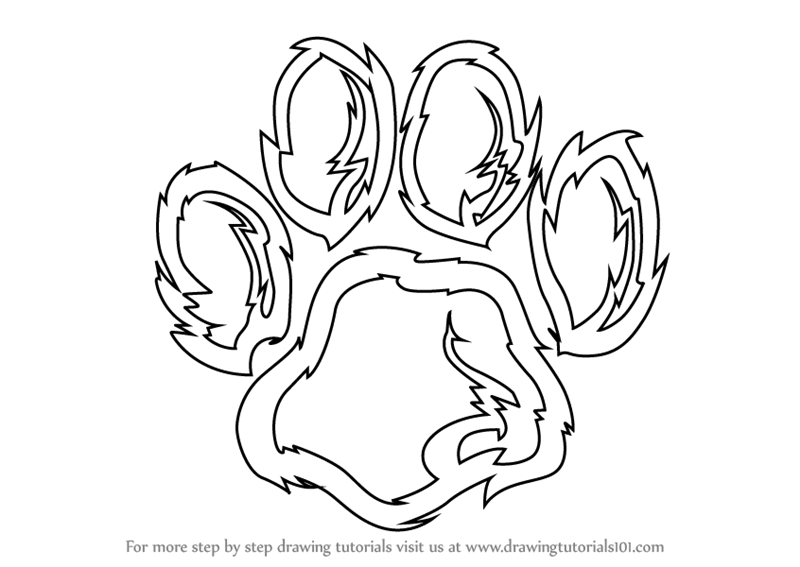 800x567 Learn How To Draw A Tiger Paw (Animals For Kids) Step By Step