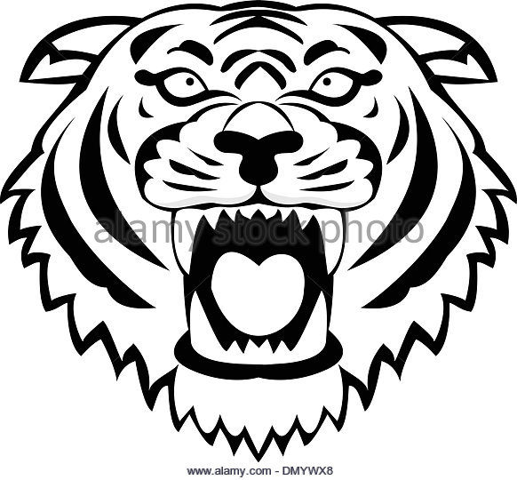582x540 Tiger Roar Stock Vector Images