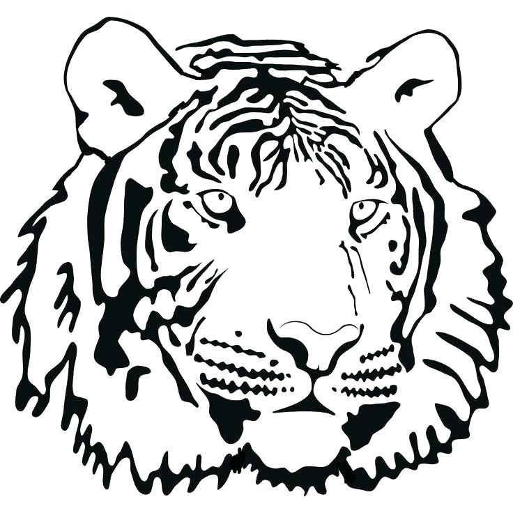 736x736 Cute Tiger Coloring Pages Cute Tiger Coloring Pages Tiger Face Big
