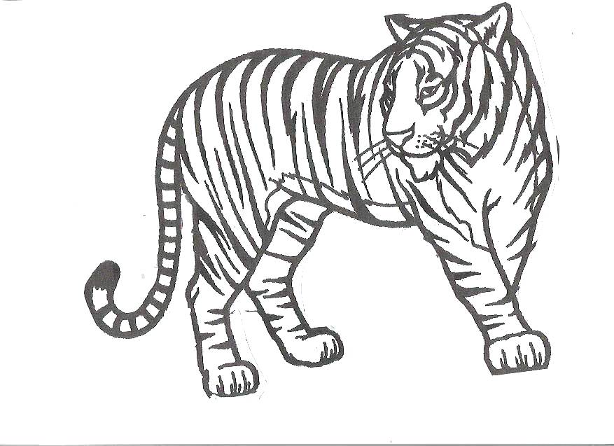 877x637 Cute Tiger Coloring Pages Tiger Eyes Tattoo Cartoon Tiger Coloring