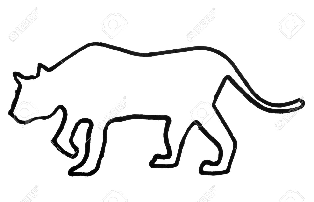 1300x836 Outline Of A Tiger Stock Photo, Picture And Royalty Free Image