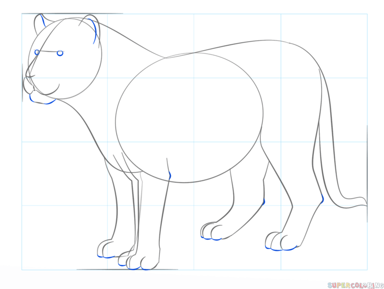 764x575 How To Draw Bengal Tiger Step By Step Drawing Tutorials