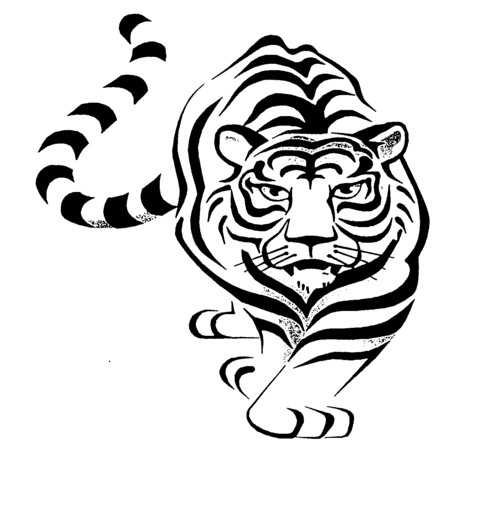 Tiger Drawing Tattoo