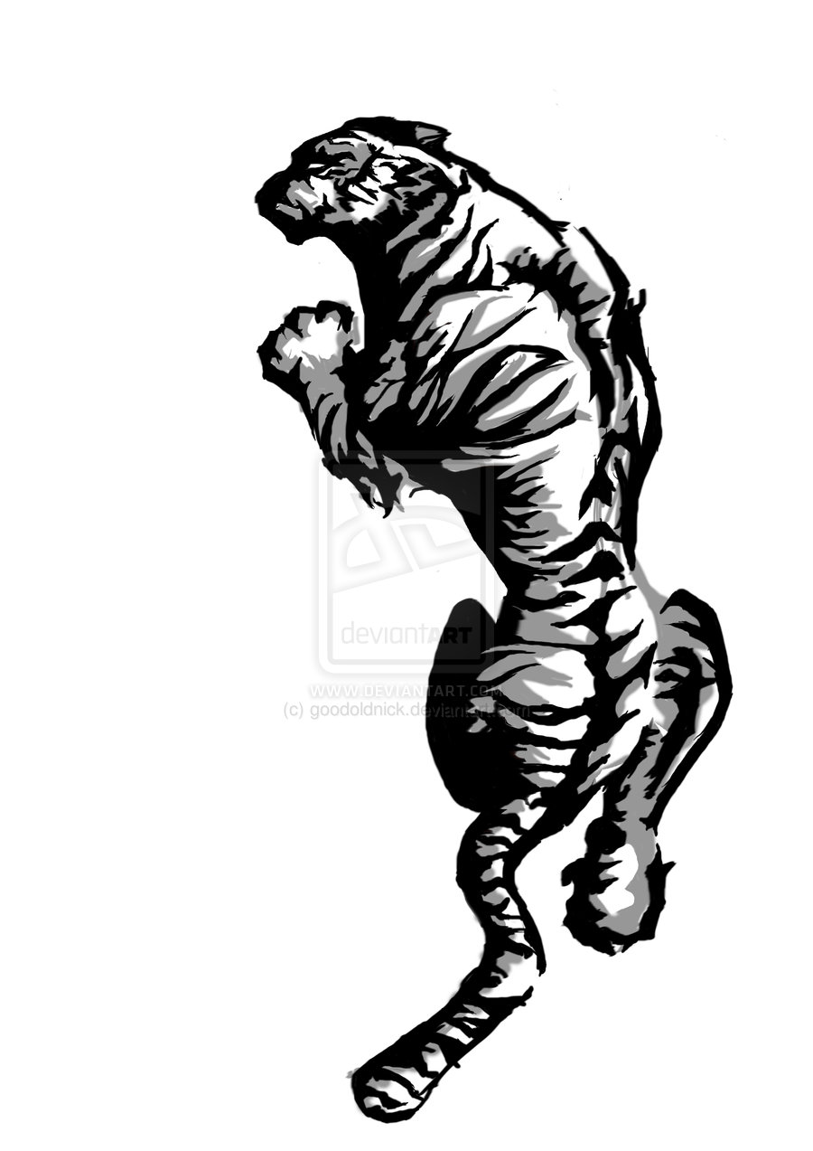 900x1273 Tattoo Ideas For Women Tiger Tattoo Drawing