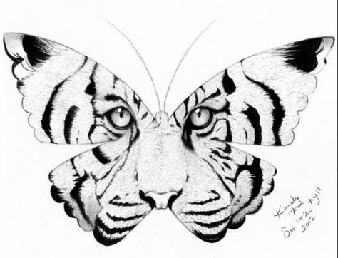 474x362 27 Best Butterfly Tiger Tattoo Drawings Images