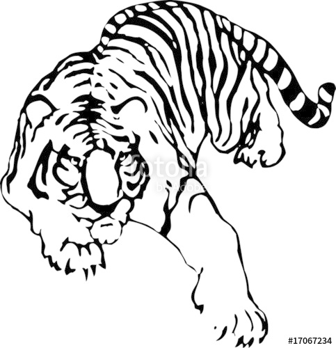 483x500 The Vector Sketch Of A Tattoo Of Tiger Stock Image And Royalty
