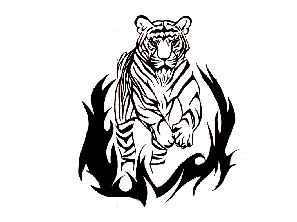 1024x768 Wallpaper Hd Sketch Tiger Angry Tiger Face Tattoo Sketch