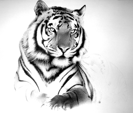 450x384 Black And White Tiger Face Tattoo