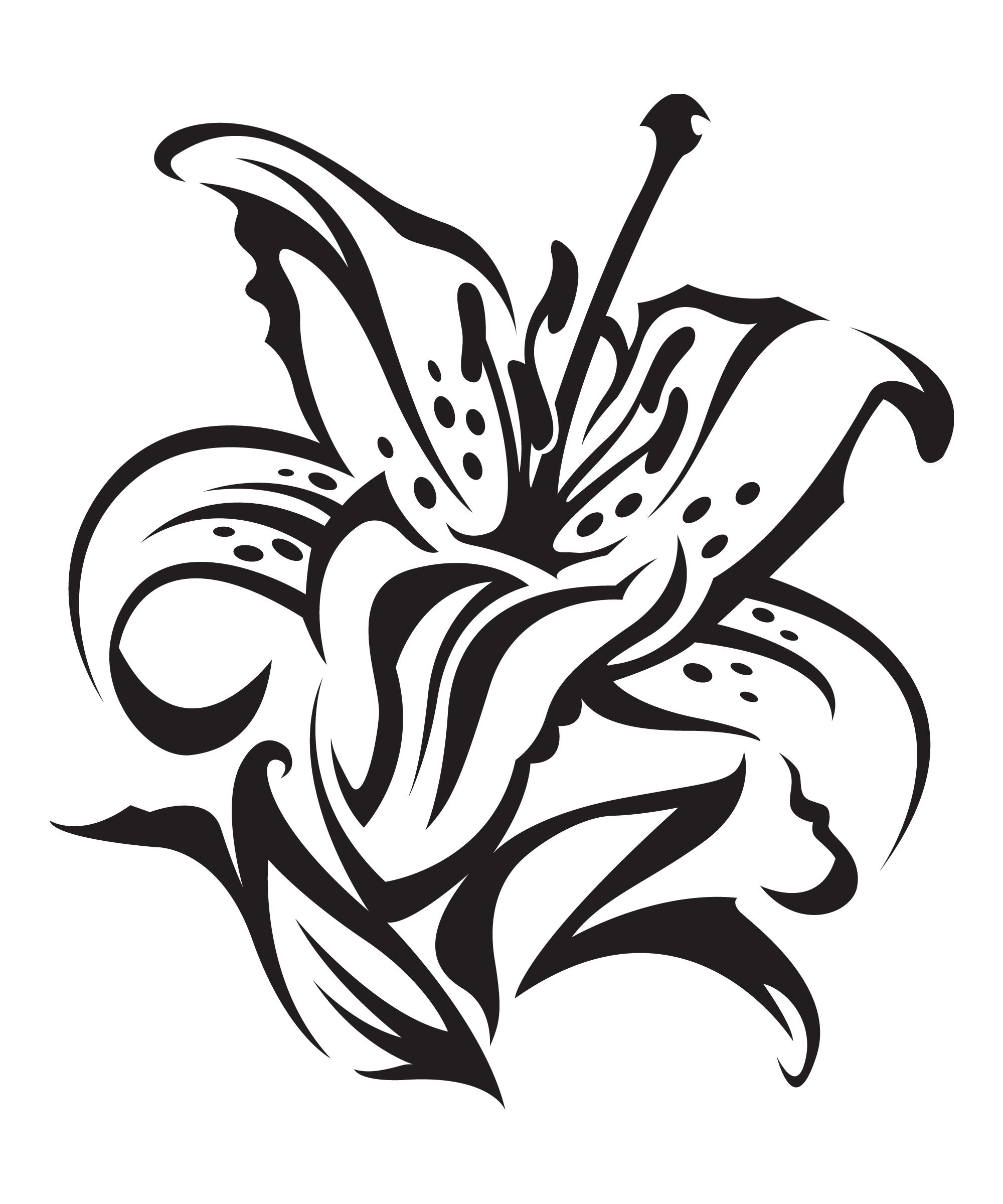 2000x2400 Collection Of Tribal And Tiger Lily Tattoo Design