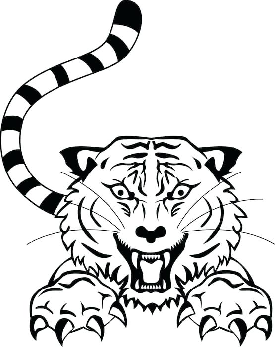 555x700 Tiger Tattoo Outline Tiger Tattoo Designs Tumblr