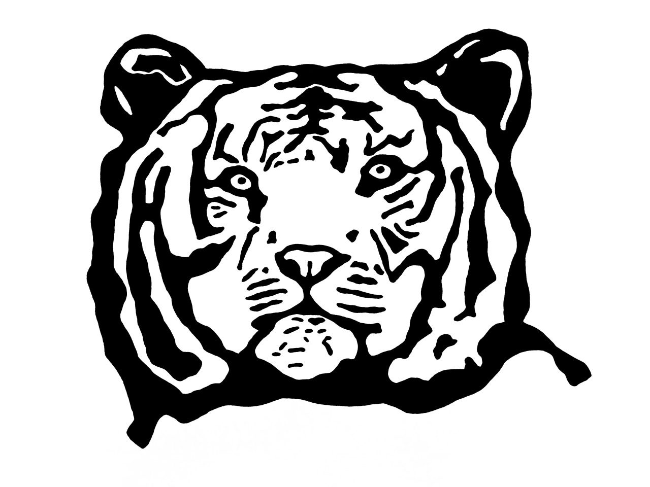 1280x960 Drawings Petunia Begent