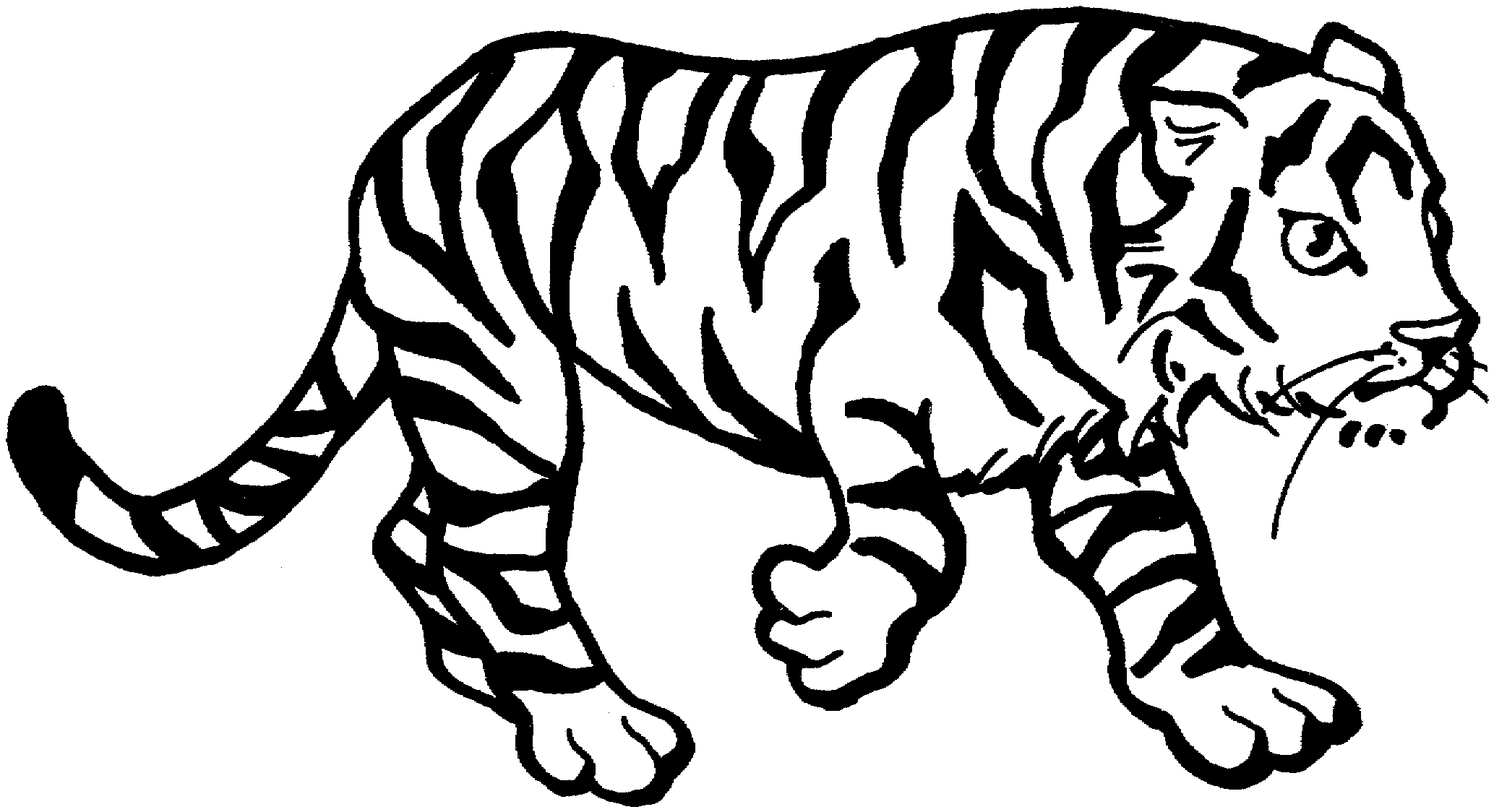 2067x1124 Tiger Eyes Black And White Clipart Panda
