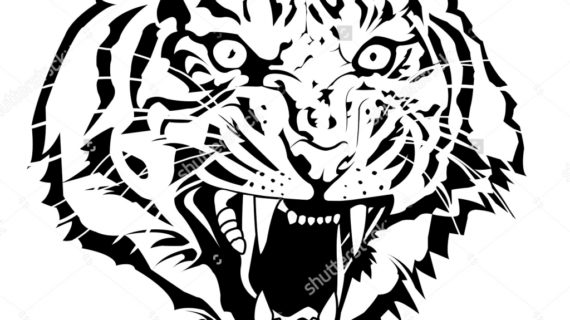 570x320 How To Draw A Tiger Face Tiger Eyes Black And White Clipart Panda