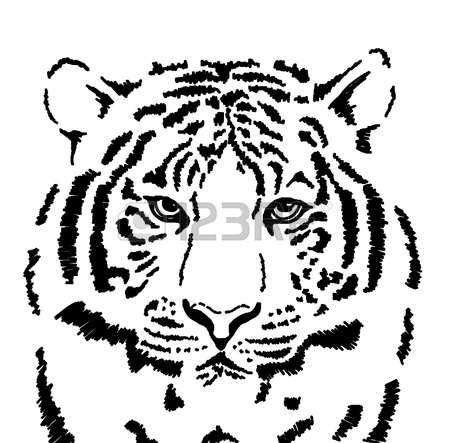 Tiger Eyes Drawing at GetDrawings | Free download