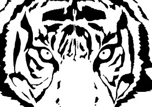 300x212 White Tiger Eyes Digital Art Fine Art America