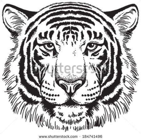 450x449 Drawn Face Tiger