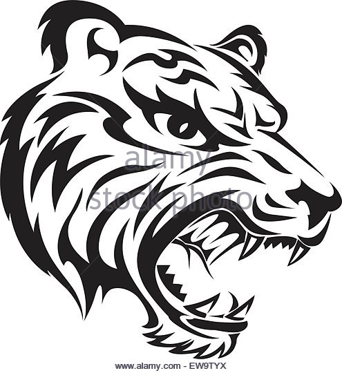 495x540 Drawn White Tiger Angry Tiger Face