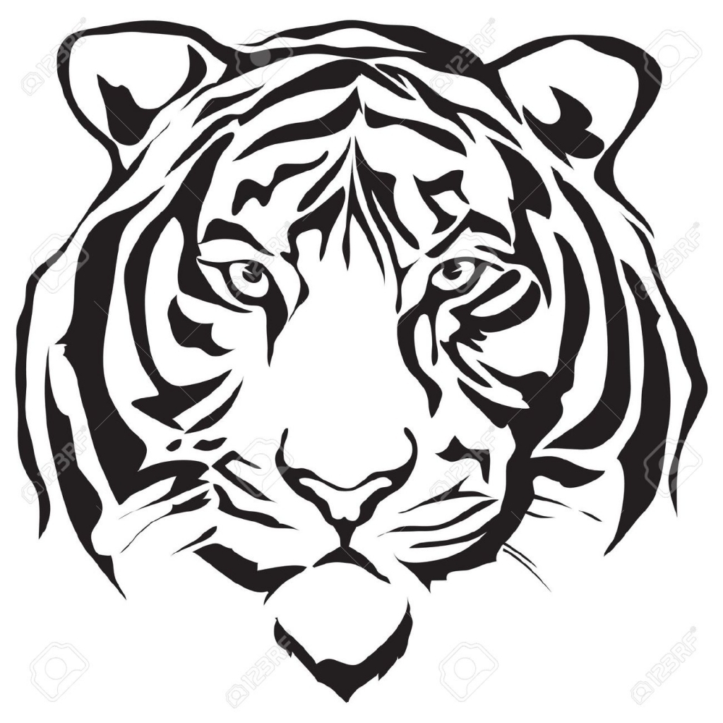 Tiger Face Drawing at GetDrawings | Free download