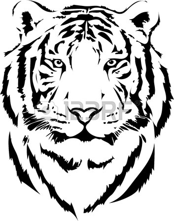 353x450 6,049 Tiger Face Stock Vector Illustration And Royalty Free Tiger