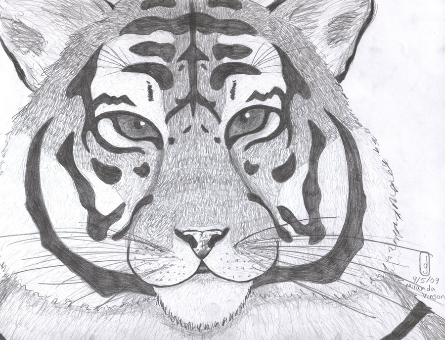 900x687 Tiger Face By Laureliobsidianfang