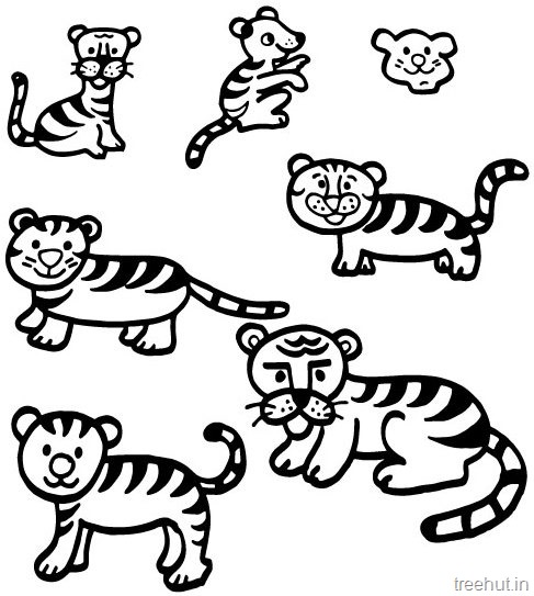 487x543 Tiger And Tiger Face Coloring Pages