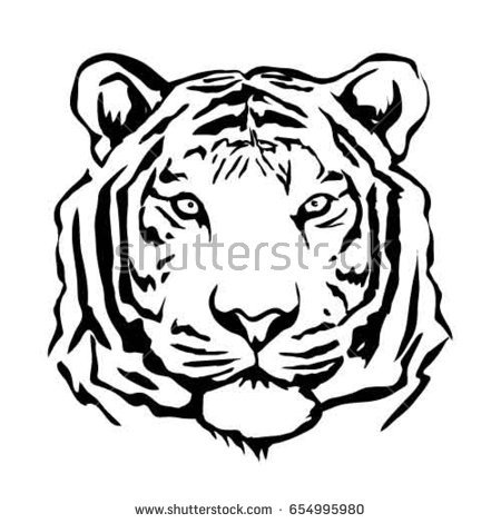 Tiger Face Drawing Pencil at GetDrawings | Free download