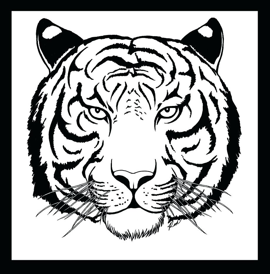 919x931 Coloring Liger Coloring Pages Drawn Tiger Face Pencil And