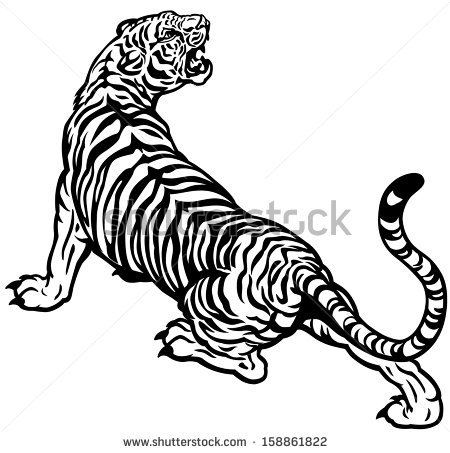 450x453 Drawn Pice Tiger