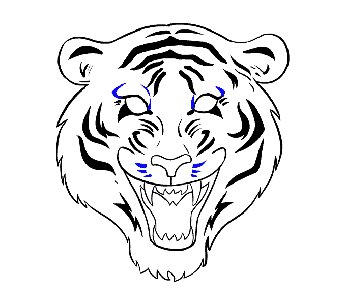 678x600 Photos Tiger Face Pictures To Draw,