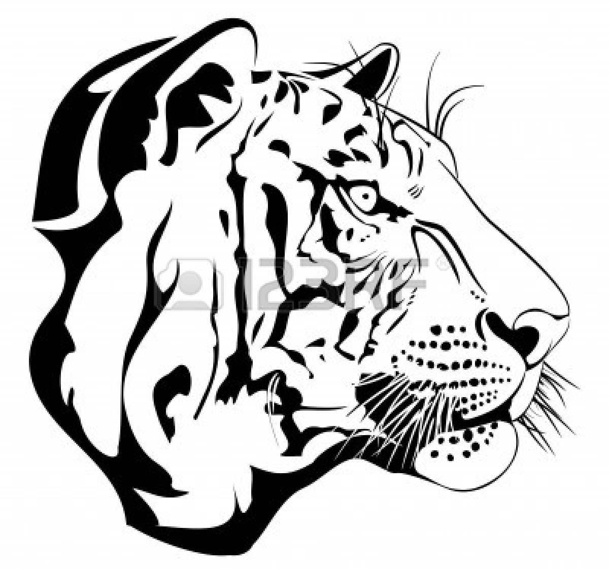 1200x1122 Tiger Clipart Drawn