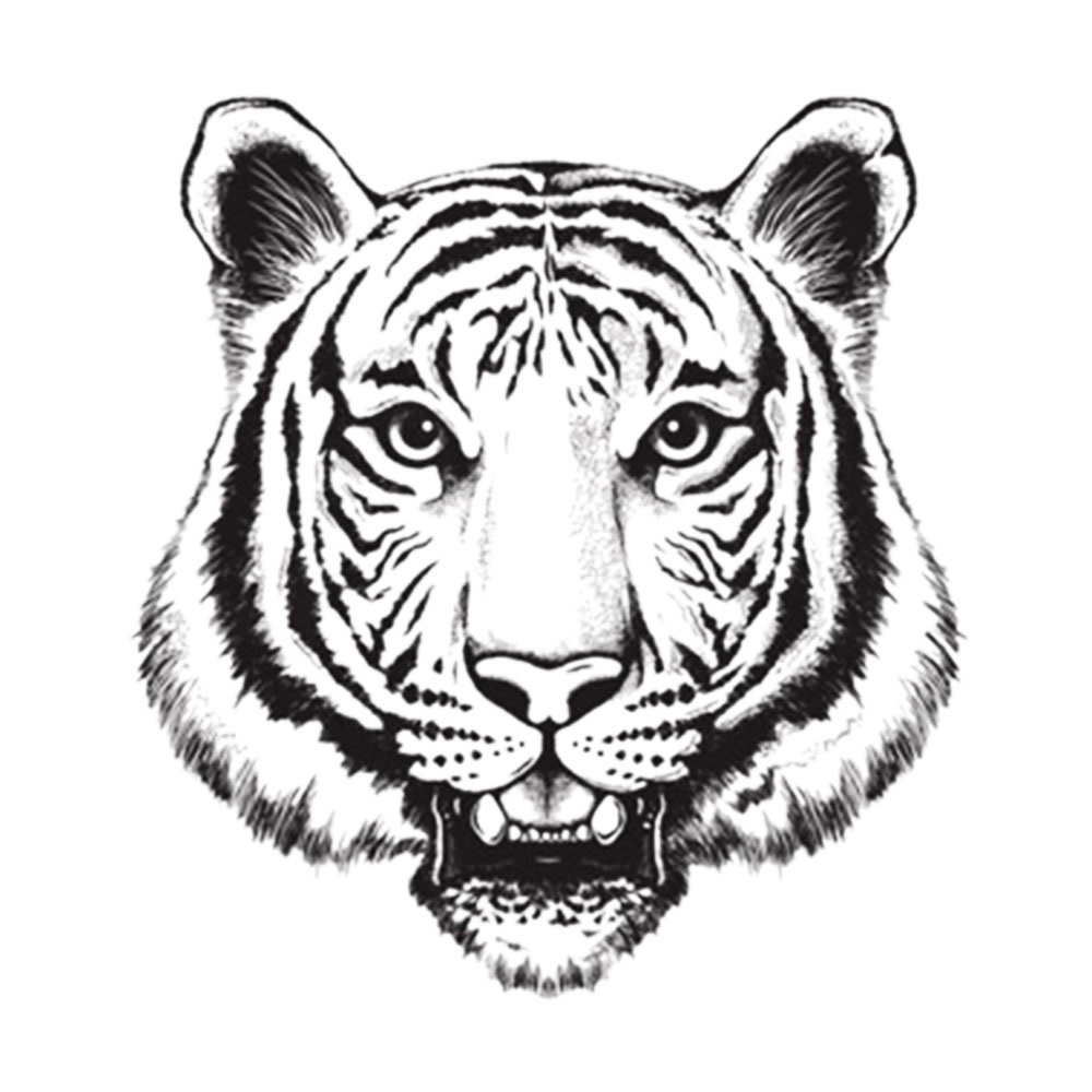Tiger Head Drawing at GetDrawings | Free download