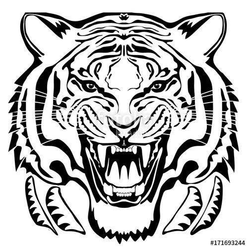 500x500 Angry Tiger Head Hand Drawn Vector Graphic. Black Drawing