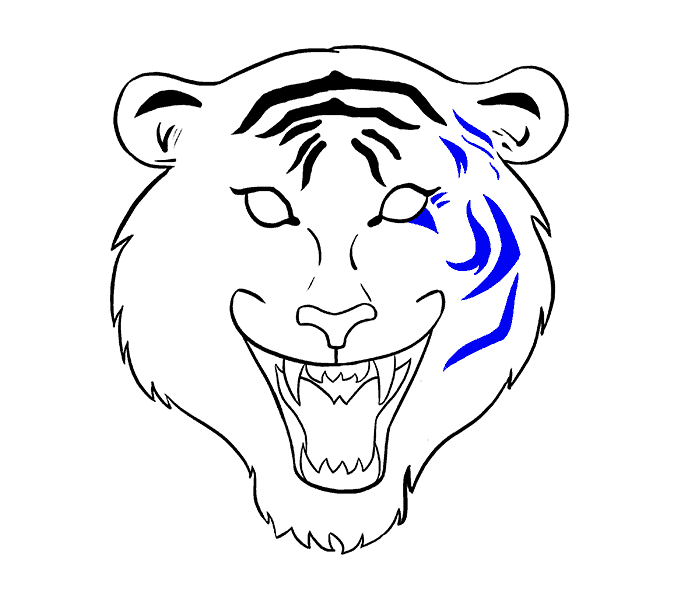 678x600 How To Draw A Tiger Face In A Few Easy Steps Easy Drawing Guides