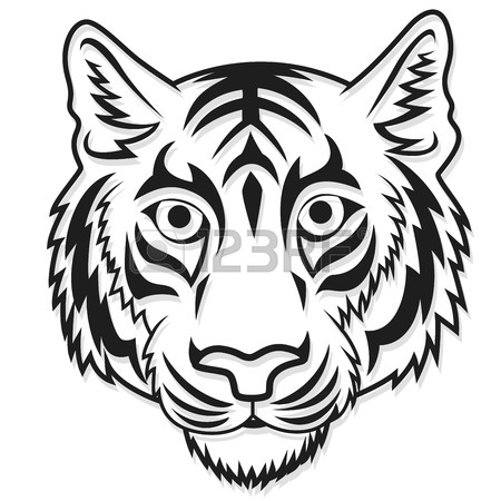 450x450 Line Illustrations Of Tiger Head From Profile And Front View