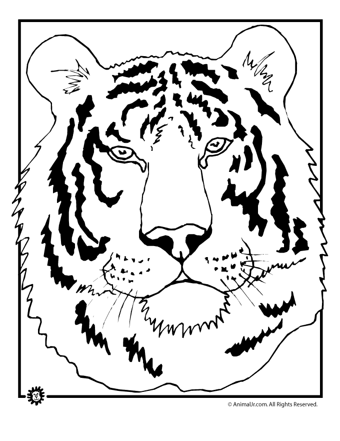 680x880 Tiger Head Coloring Page Animal Jr.